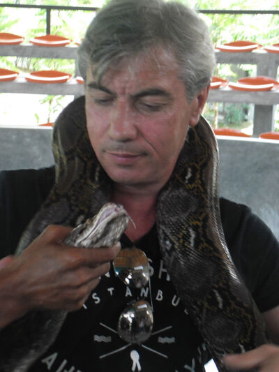  ,   , 58 ,   ,   