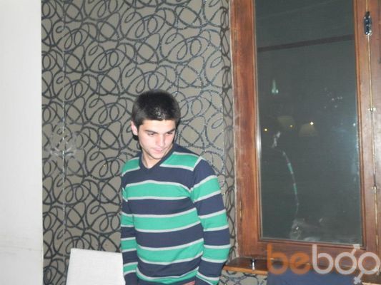  3322154  Alekoo, 81 ,    