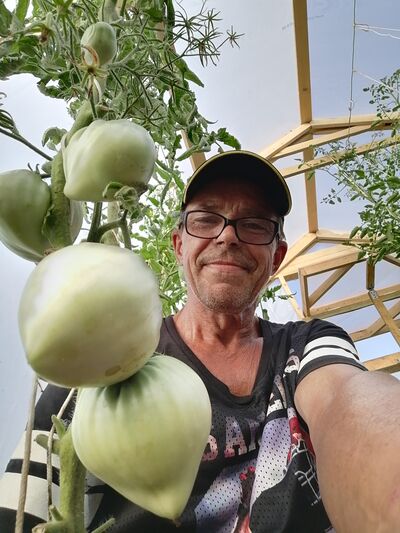  ,   Mihail, 64 ,   c 