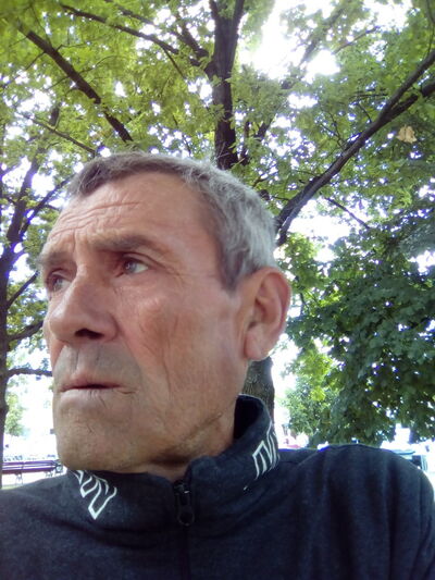  ,   , 66 ,   