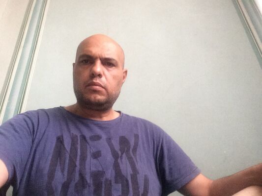  ,   Hay, 52 ,  