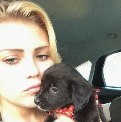 ���������� Meppel, ���� ������� ��������, 30 ���, ������������ ��� ������, ����� � ���������