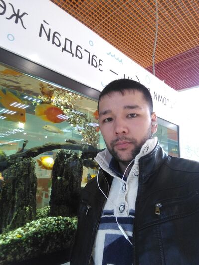  -,   , 31 ,   ,   , c 