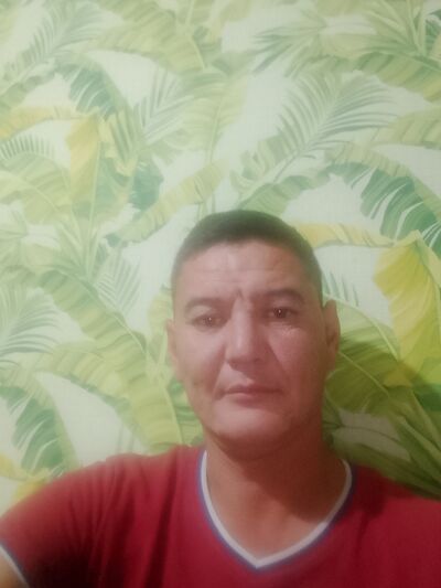  ,   , 41 ,   ,   