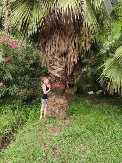  ,   , 50 ,   ,   , c , 