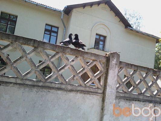 ���������� �����, ���� ������� �����, 57 ���, ������������ ��� ����� � ���������, c�������� ���������