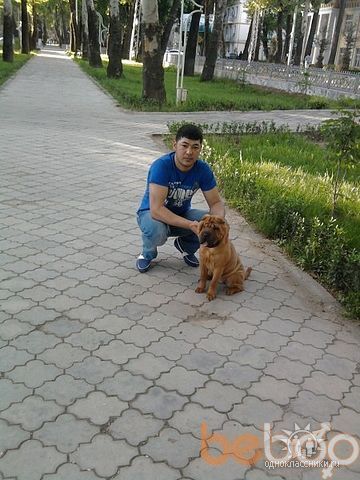  ,   , 38 ,   ,   , 