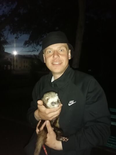  ,   , 28 ,   ,   