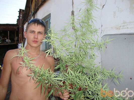  ,   Wolf, 36 ,     , c 