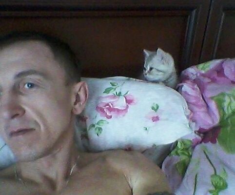  ,   , 44 ,   