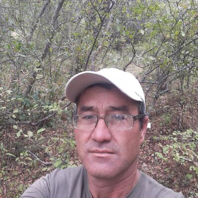  ,   , 43 ,  