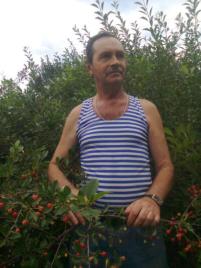  ,   , 74 ,   ,   