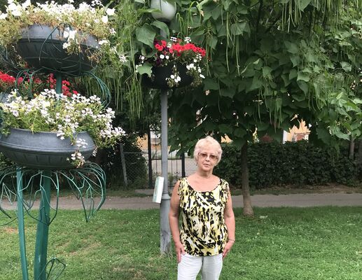  ,   , 65 ,   ,   , c 