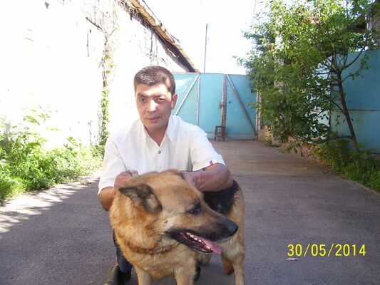  ,   , 58 ,   