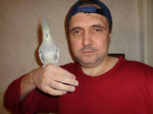  ,   , 52 ,   ,   , c 