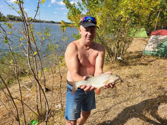  ,   , 58 ,   ,   , c 