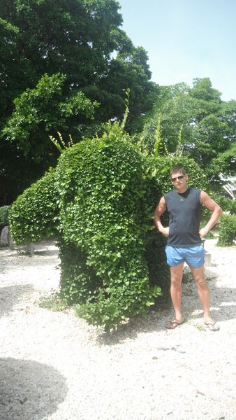  -,   , 45 ,   ,   , c 