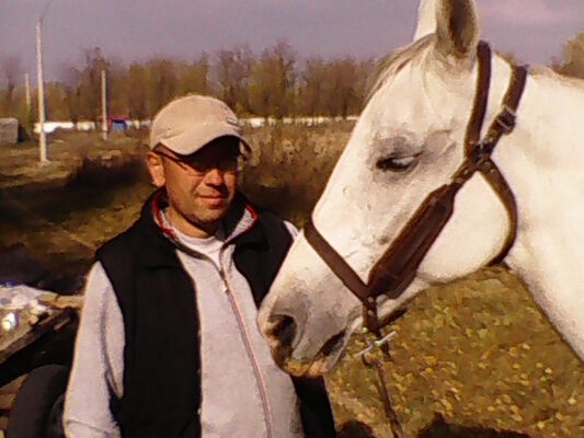  ,   , 49 ,   