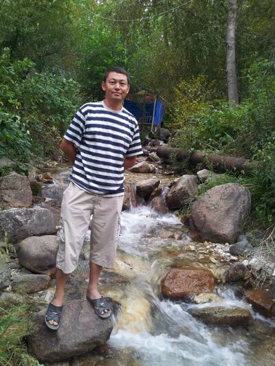  -,   , 46 ,   ,   , c 