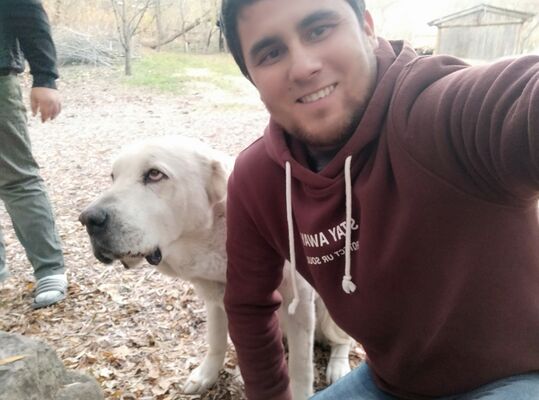 ,   Ali, 29 ,   ,   