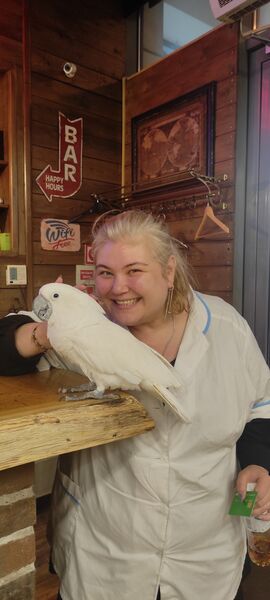 ,   Irina, 44 ,     , c 
