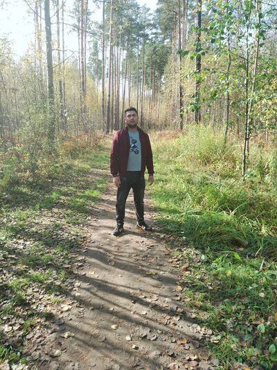  -,   , 31 ,   ,   