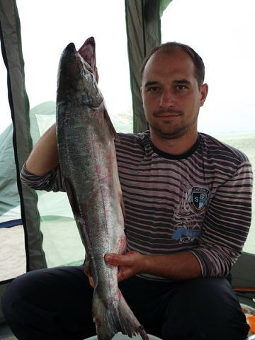  6298374  Sakh, 42 ,    -