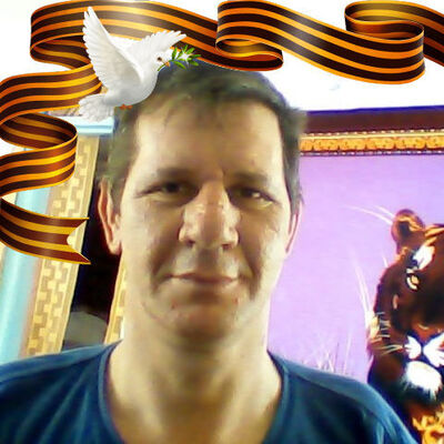  --,   , 53 ,   ,   
