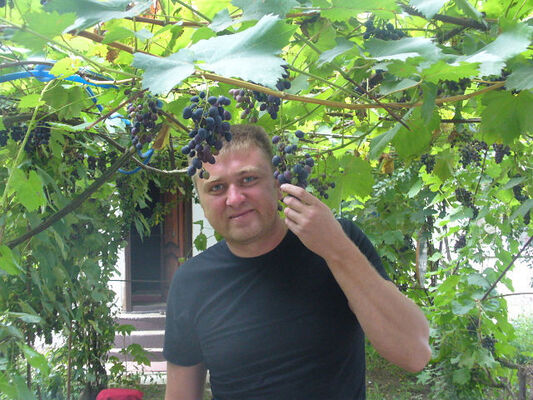  ,   , 47 ,   c , 