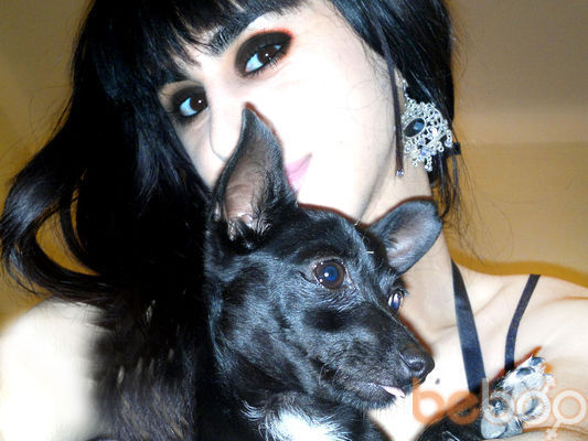  ,   TRANS Dasha, 35 ,   ,   , c 