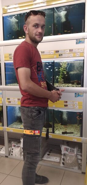  ,   Arteom, 32 ,   ,   , c 