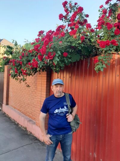  --,   , 52 ,   ,   
