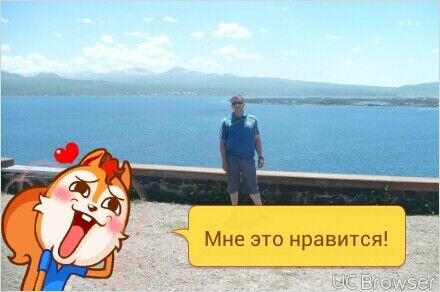  9634884  , 40 ,    