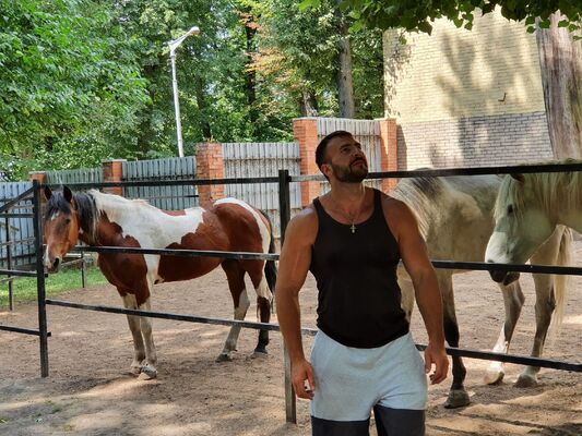  -,   Master Holst, 41 ,   ,   , c , 