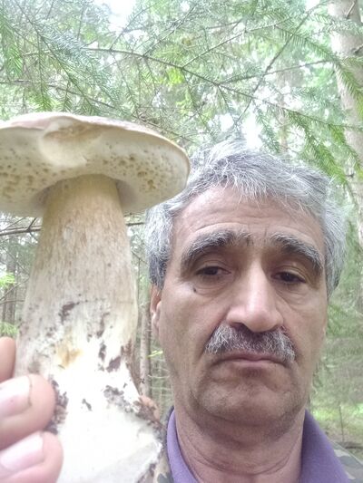  -,   , 53 ,   
