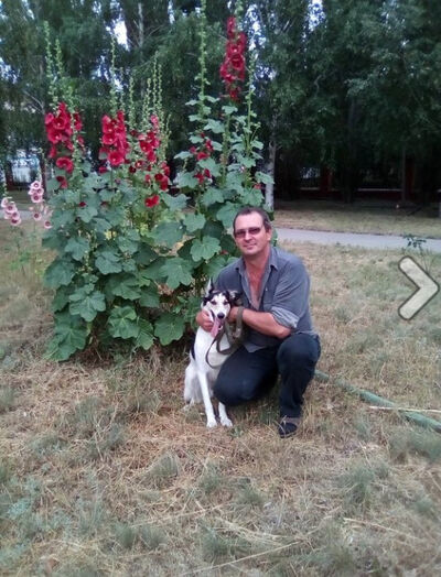  ,   , 51 ,   