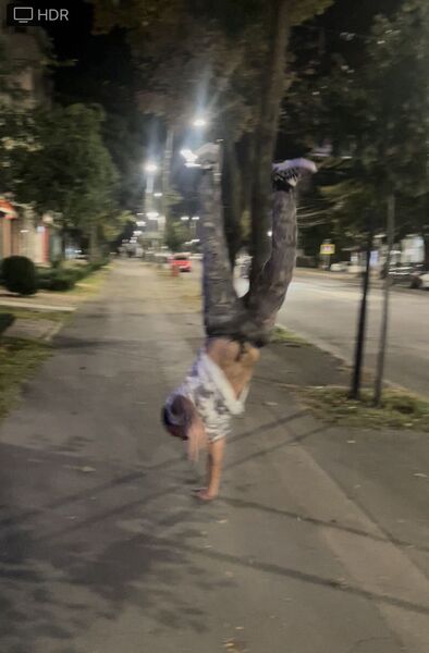  ,   Nikita, 24 ,   ,   , c 