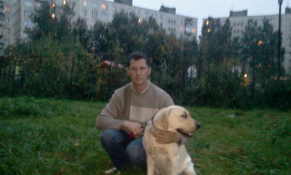  -,   , 52 ,   ,   , c 