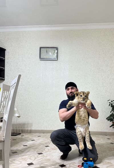   ,   , 38 ,   ,   
