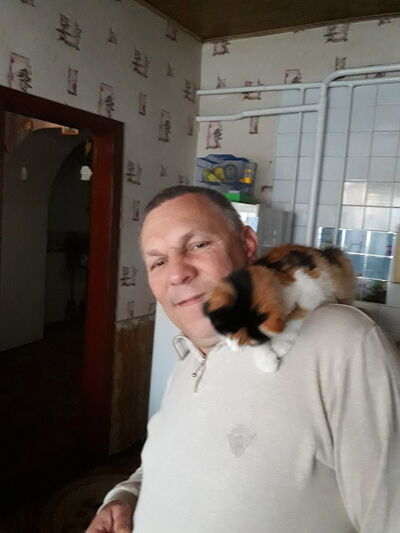  ,   , 59 ,   