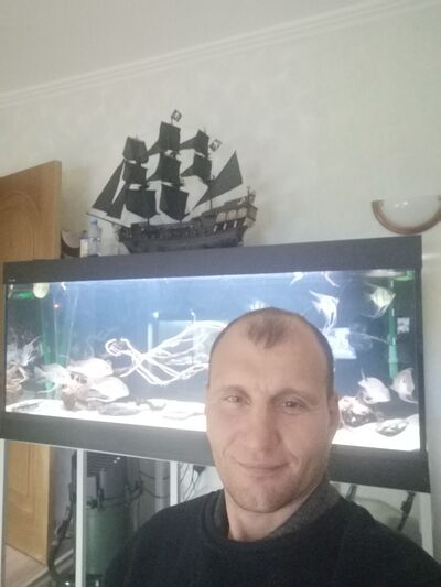  ,   , 43 ,   