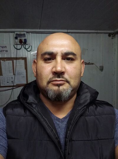  Dolphin,   , 47 ,   ,   