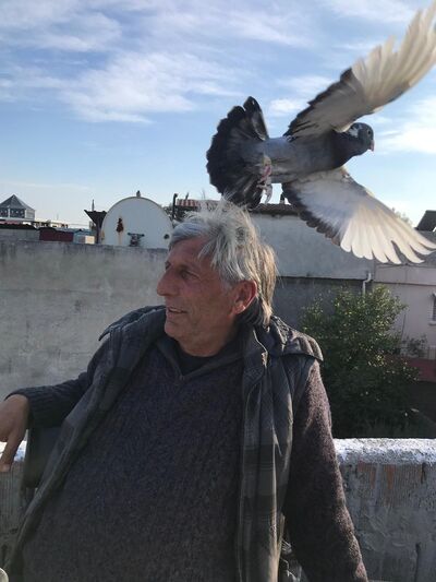  Mercan,   Halil, 55 ,   ,   