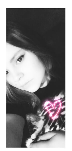  ,   , 24 ,   ,   , 