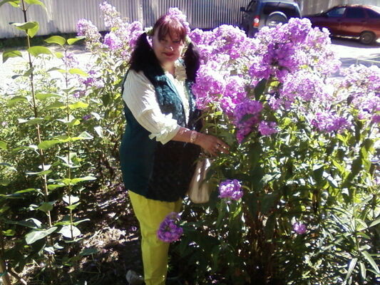   ,   , 66 ,   ,   
