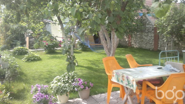 ���������� ��������, ���� ������� ����, 41 ���, ������������ ��� ������, ����� � ���������, c�������� ���������