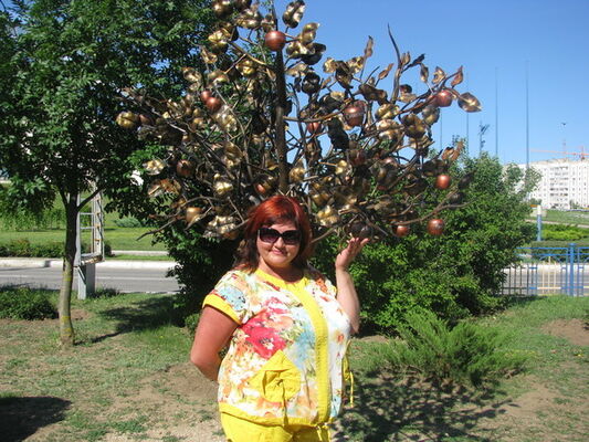  ,   , 54 ,  