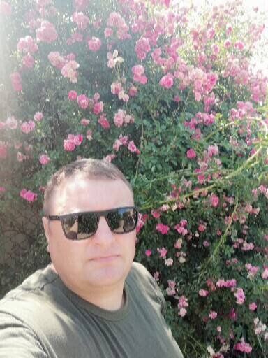  ,   , 45 ,   ,   