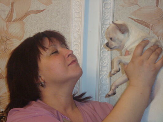  ,   , 52 ,  