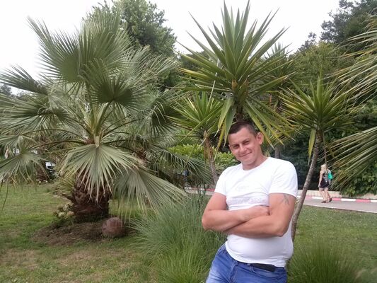 -,   , 41 ,   ,   , c 
